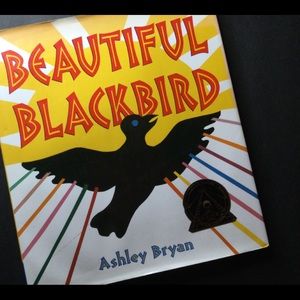 Beautiful Blackbird book